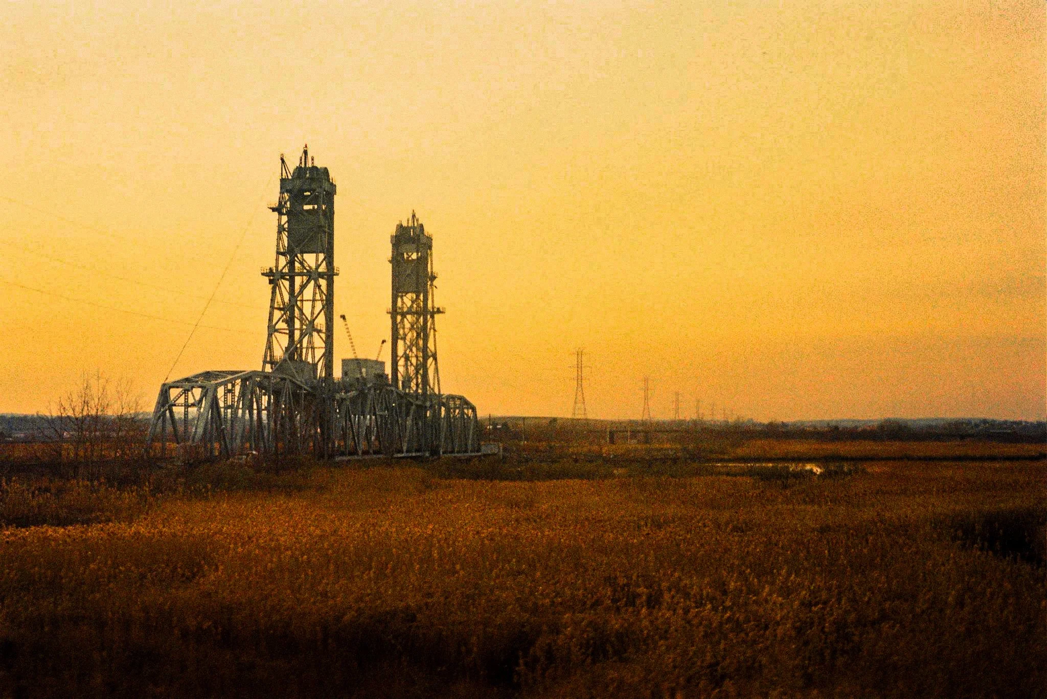 Ryan O'Toole Collett-11.jpg