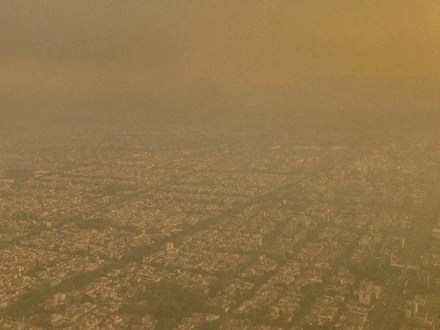 a-caged-dog-barks-the-fiercest-mexico-city-2024-hazy-aerial-cityscape-ryan-otoole-collett.jpeg