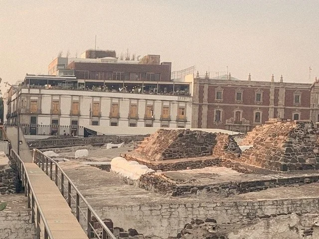 a-caged-dog-barks-the-fiercest-mexico-city-2024-archaeological-ruins-ryan-otoole-collett.jpeg