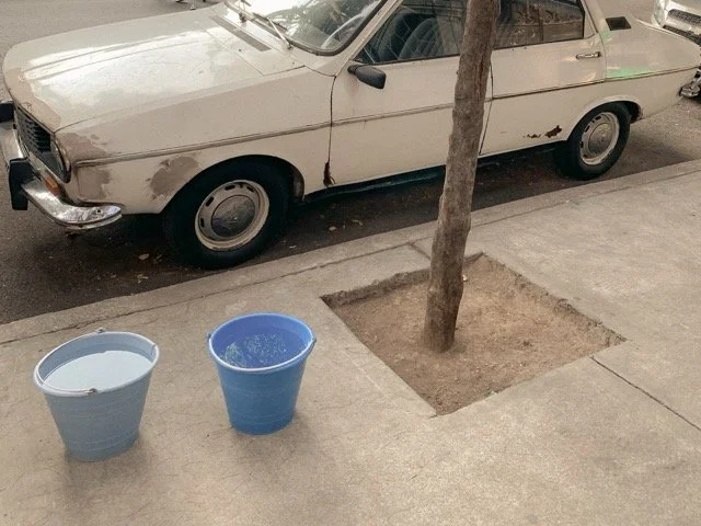 a-caged-dog-barks-the-fiercest-mexico-city-2024-white-car-blue-buckets-street-ryan-otoole-collett.jpeg