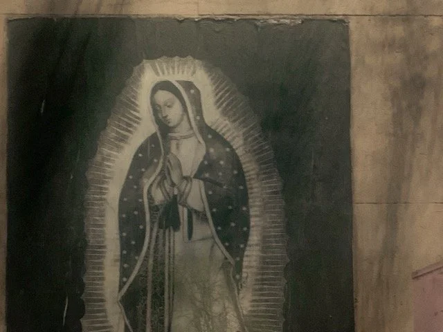 a-caged-dog-barks-the-fiercest-mexico-city-2024-weathered-virgin-of-guadalupe-image-ryan-otoole-collett.jpeg