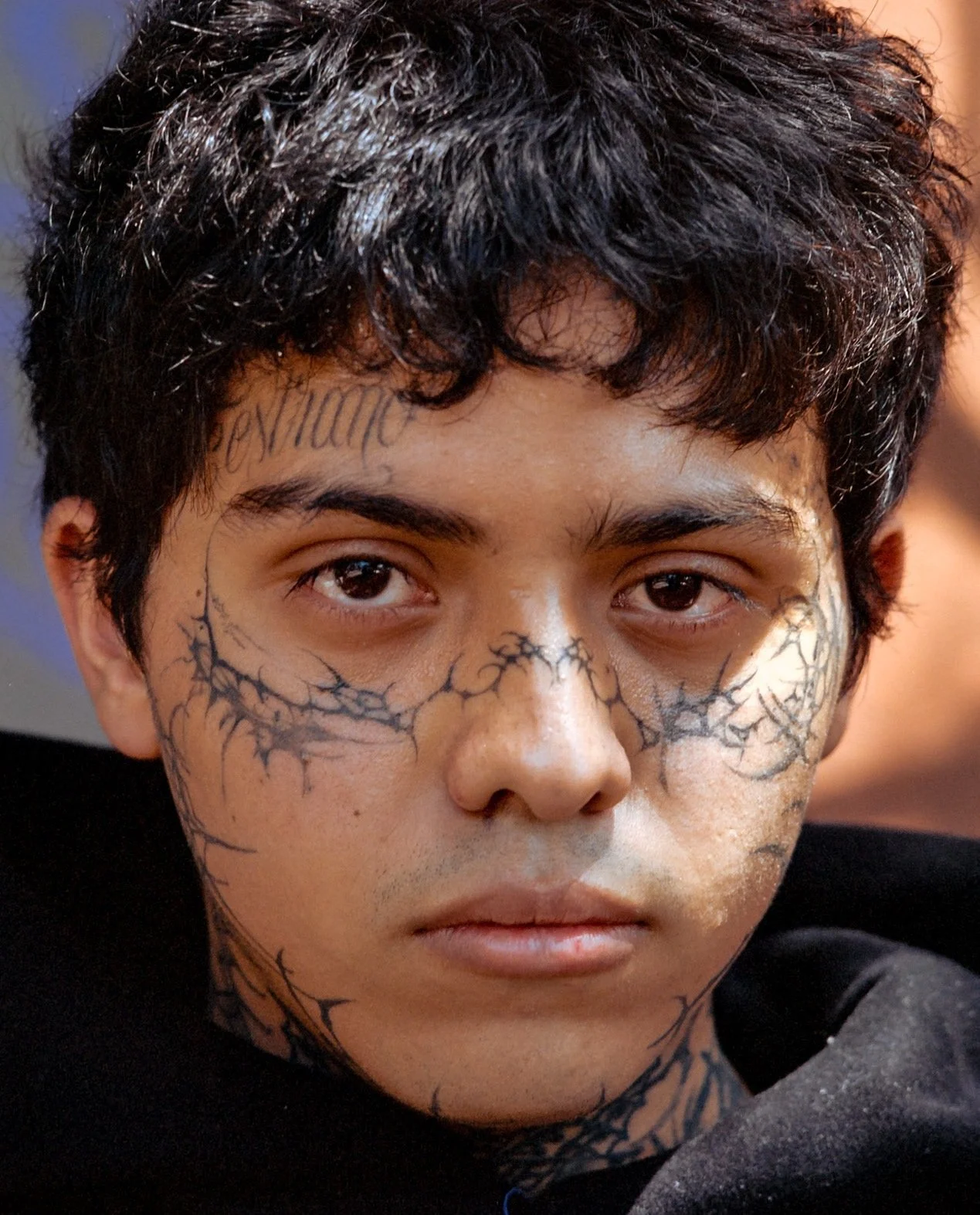 a-caged-dog-barks-the-fiercest-mexico-city-2024-close-portrait-facial-markings-ryan-otoole-collett.jpeg