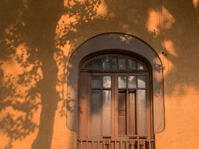 a-caged-dog-barks-the-fiercest-mexico-city-2024-sunlit-building-facade-ryan-otoole-collett.jpeg