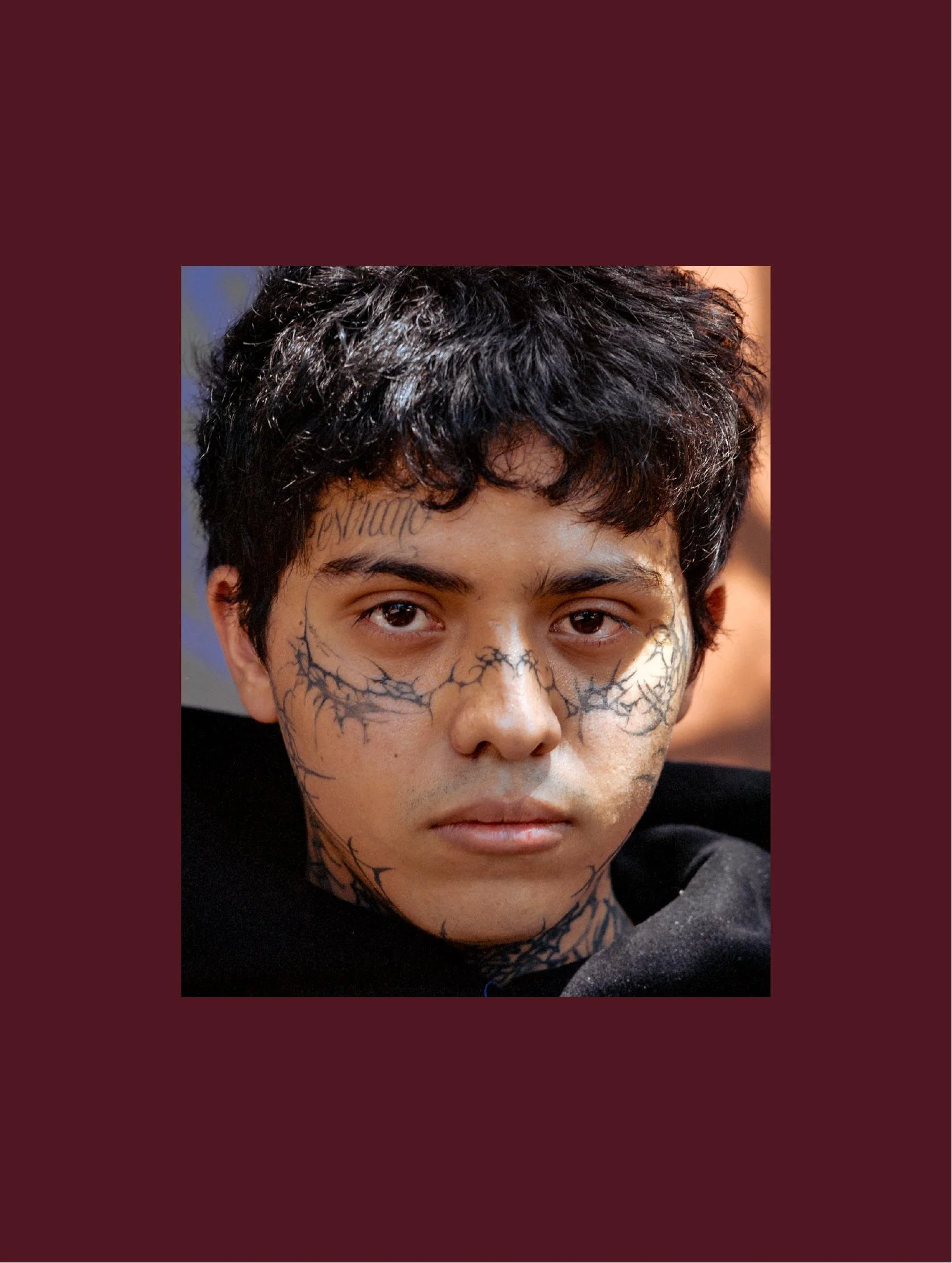 a-caged-dog-barks-the-fiercest-photobook-clothbound-cover-ryan-otoole-collett.jpg