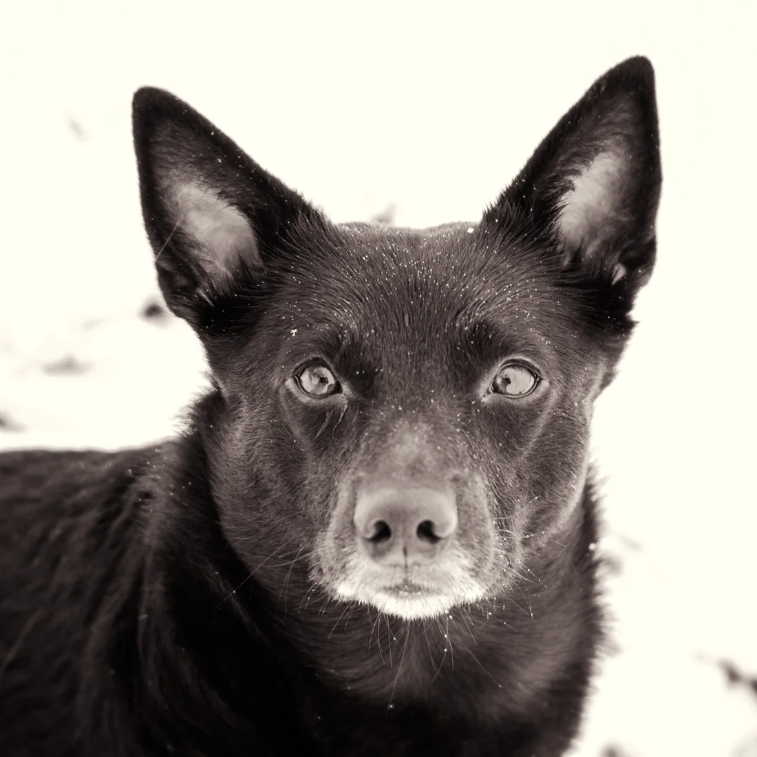 2019 blir ett spännande år!