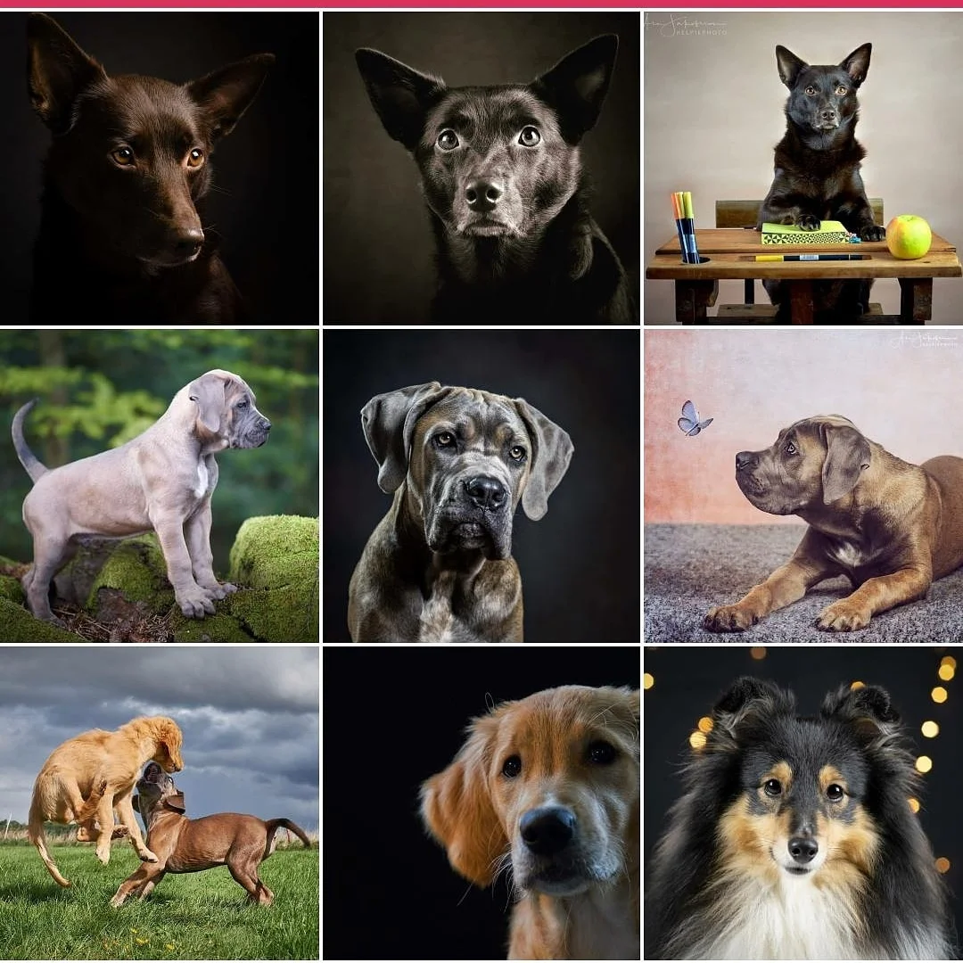 Best nine 2018