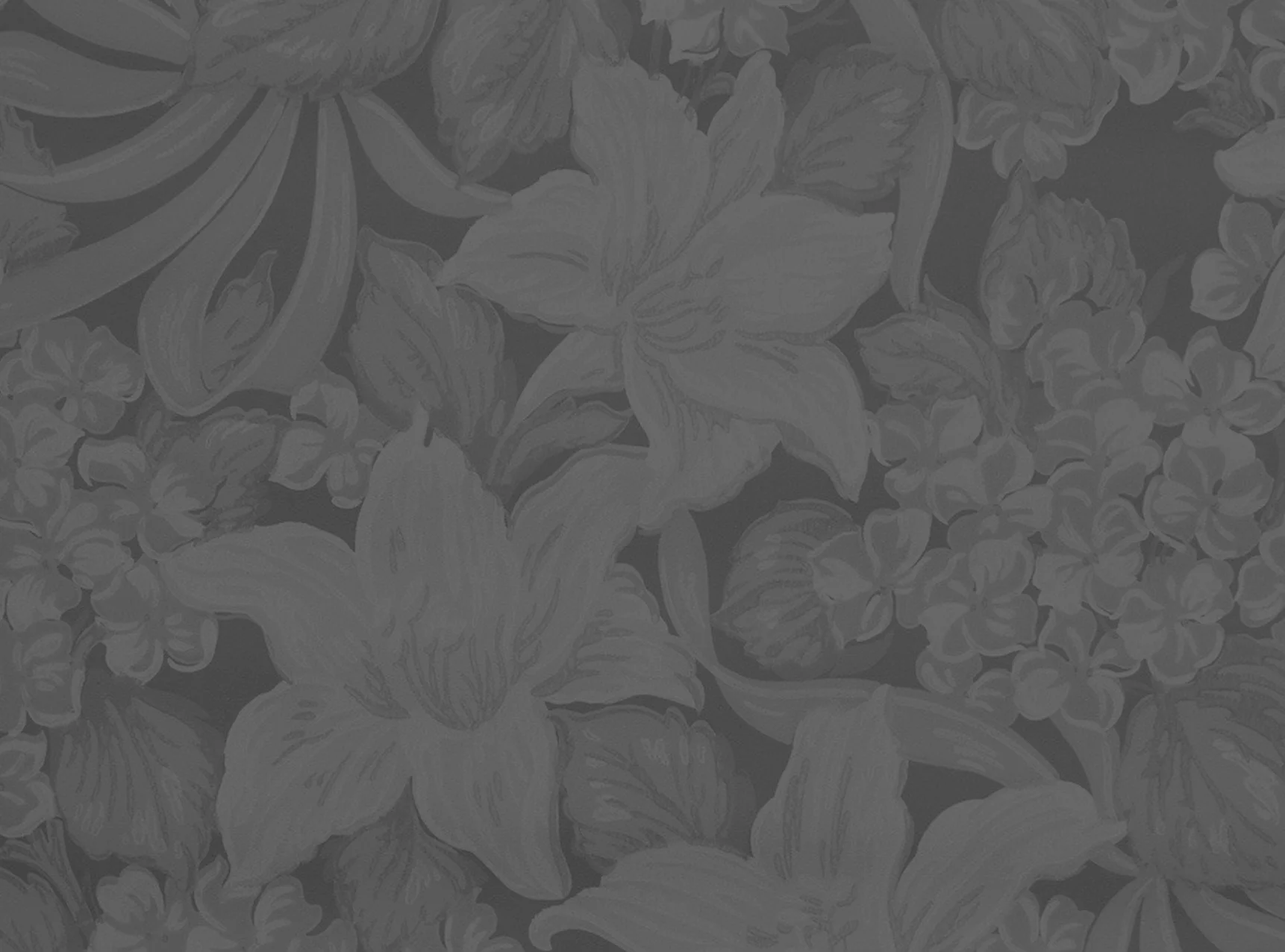banner2.jpg