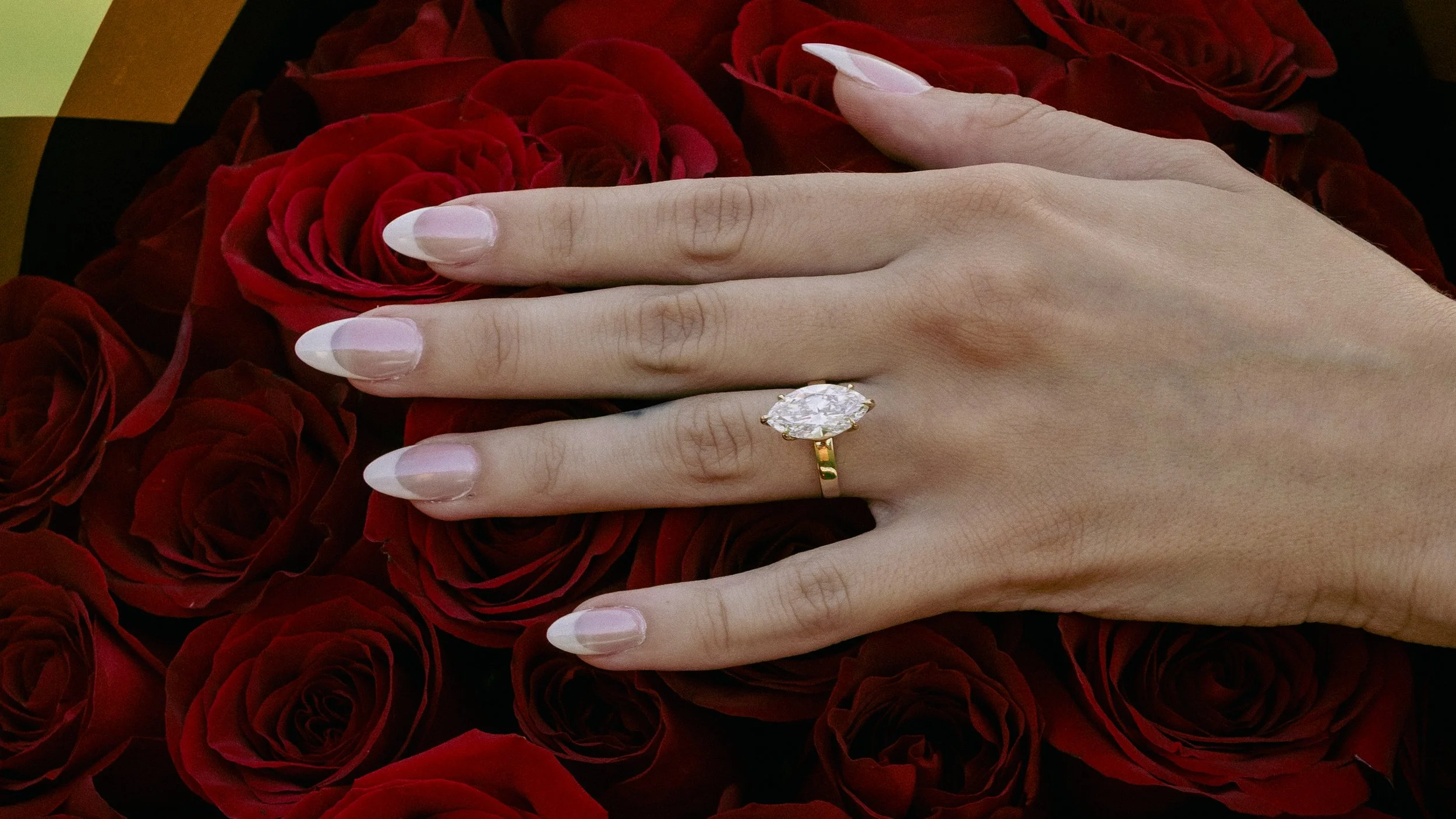 A hand with a large oval diamond engagement ring on the ring finger, resting on a bed of deep red roses.
