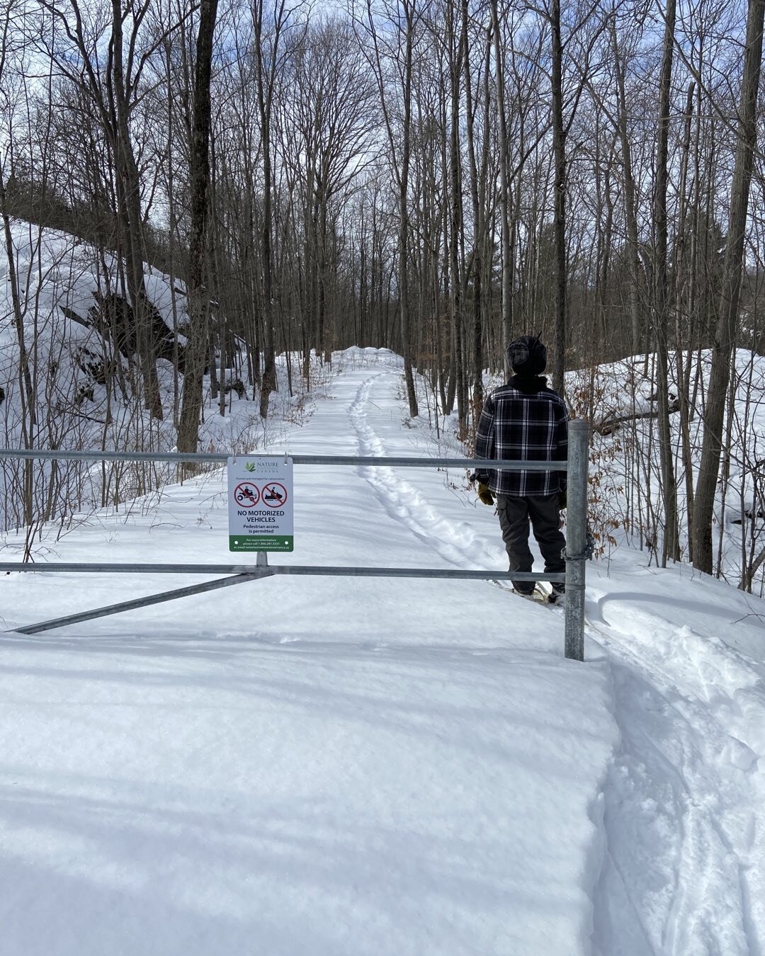 Hiking through the wilderness #loveloughboroughlake #ontarionature #natureconservancycanada