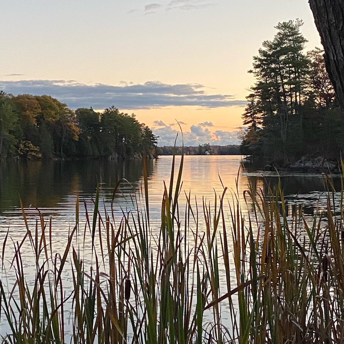 A beautiful #loveloughboroughlake evening! #ontarionature #southfrontenac