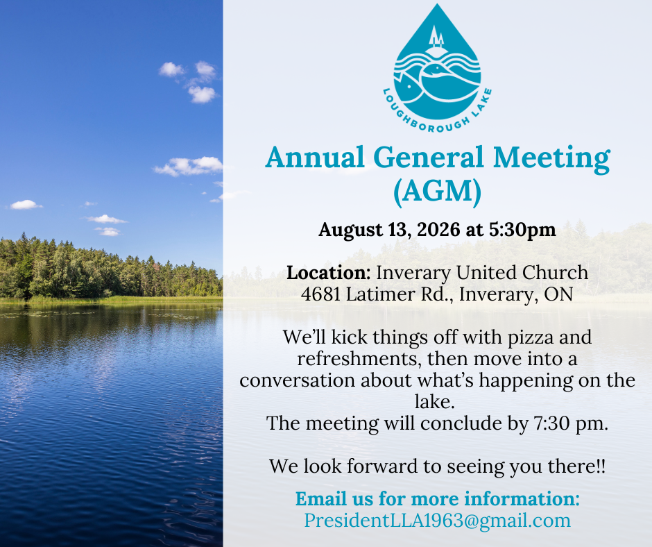 Annual General Meeting (AGM)
