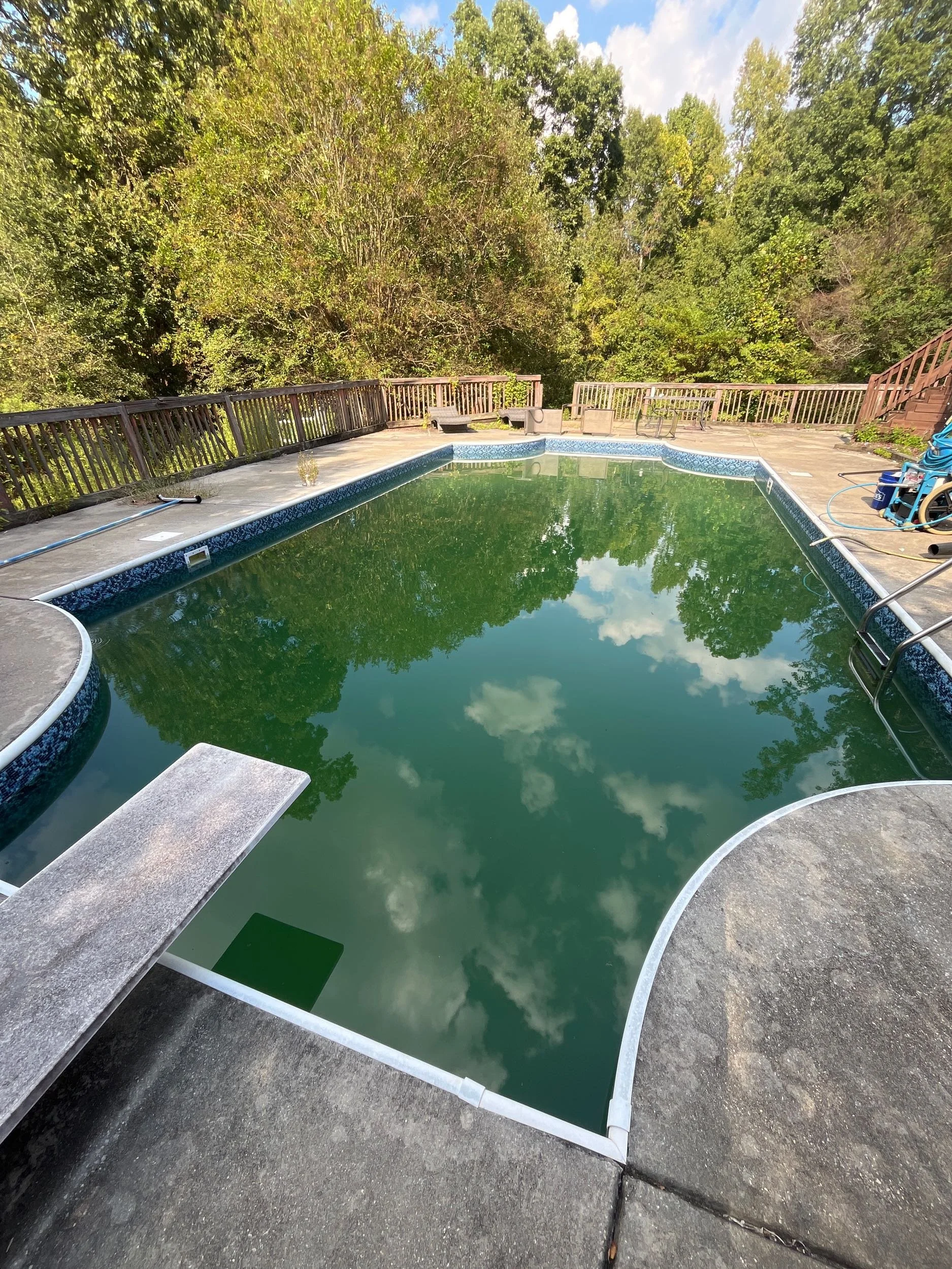 Beginner's Guide to a Green Pool Rescue