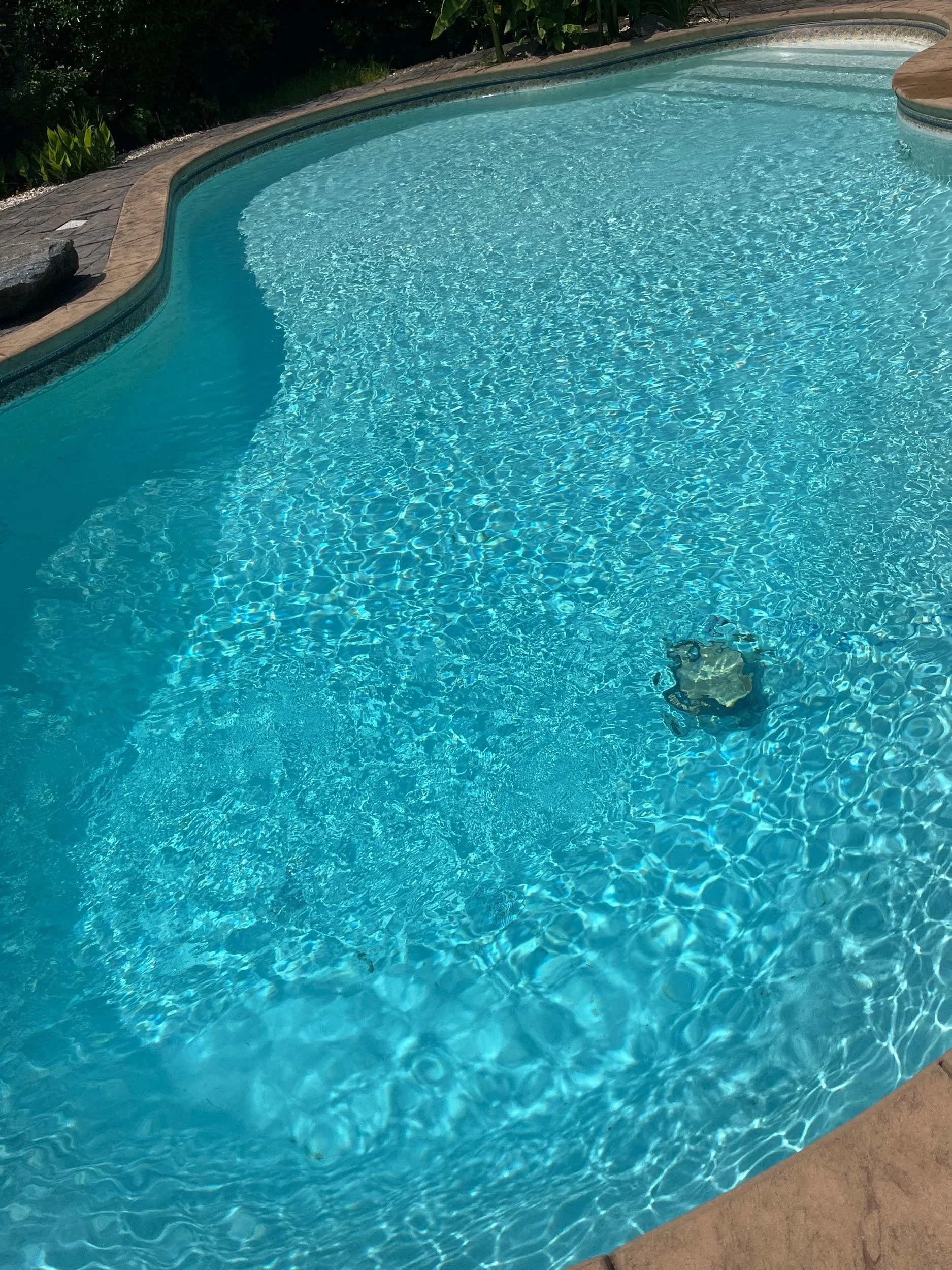 Will Summer After.jpg