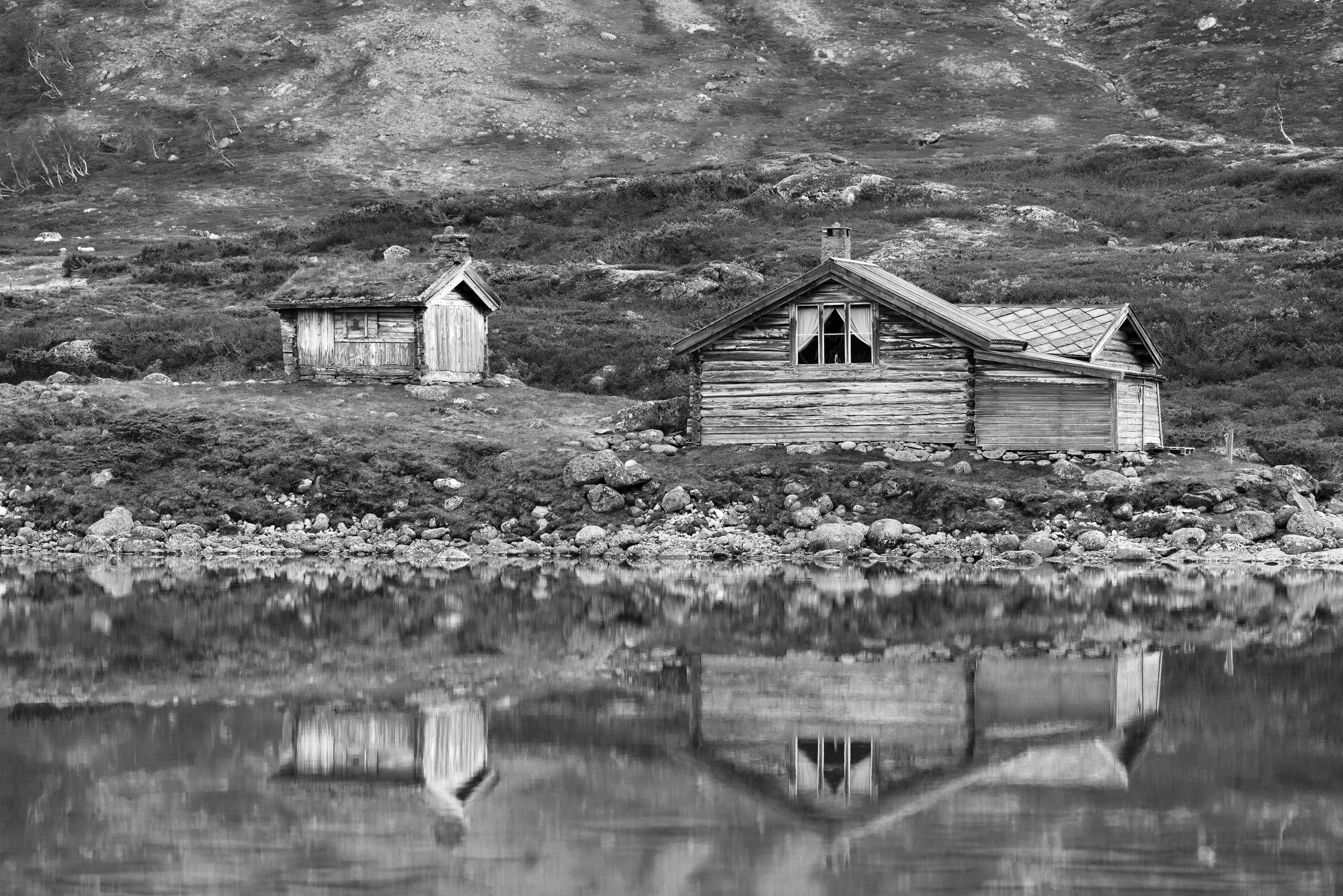 _DSC0294 copy.jpg