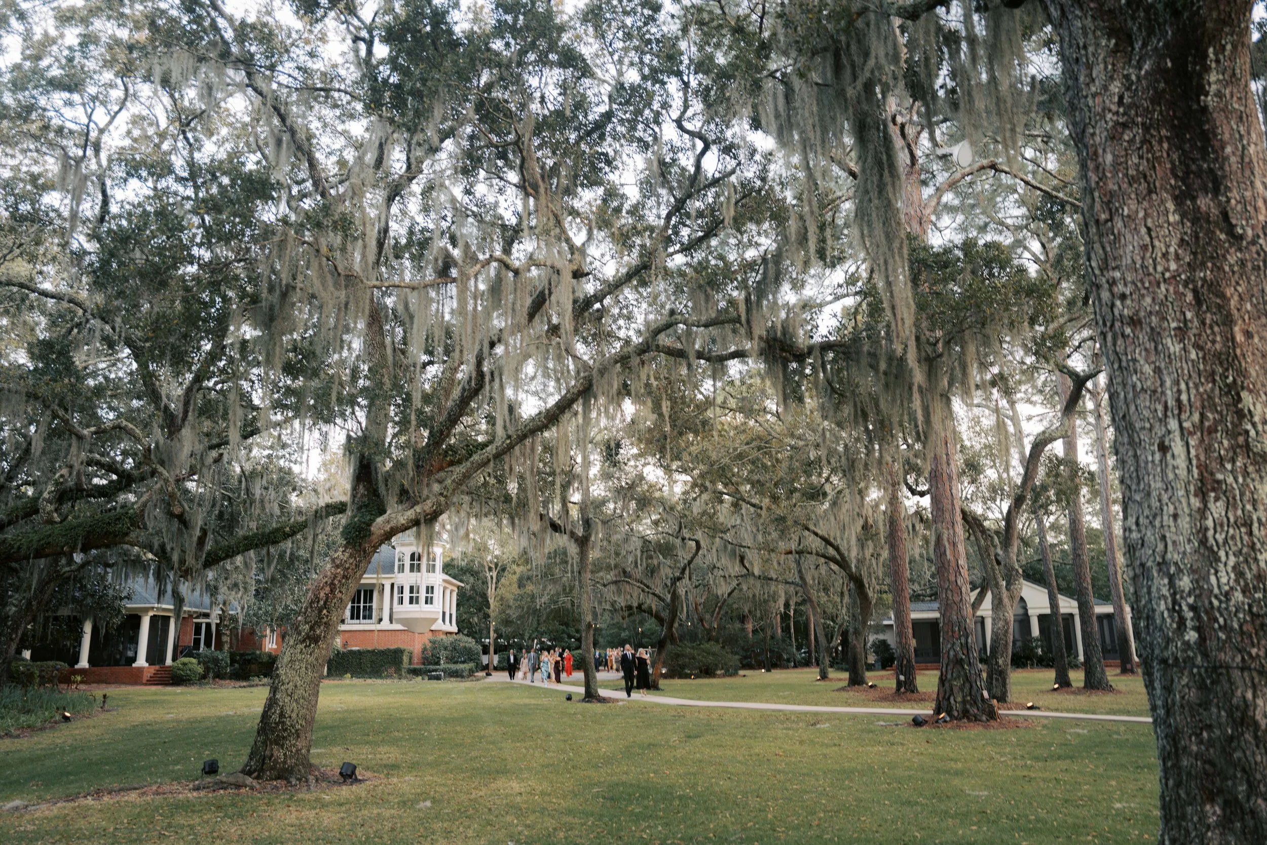 Hatten Anderson_Final__1126.jpg