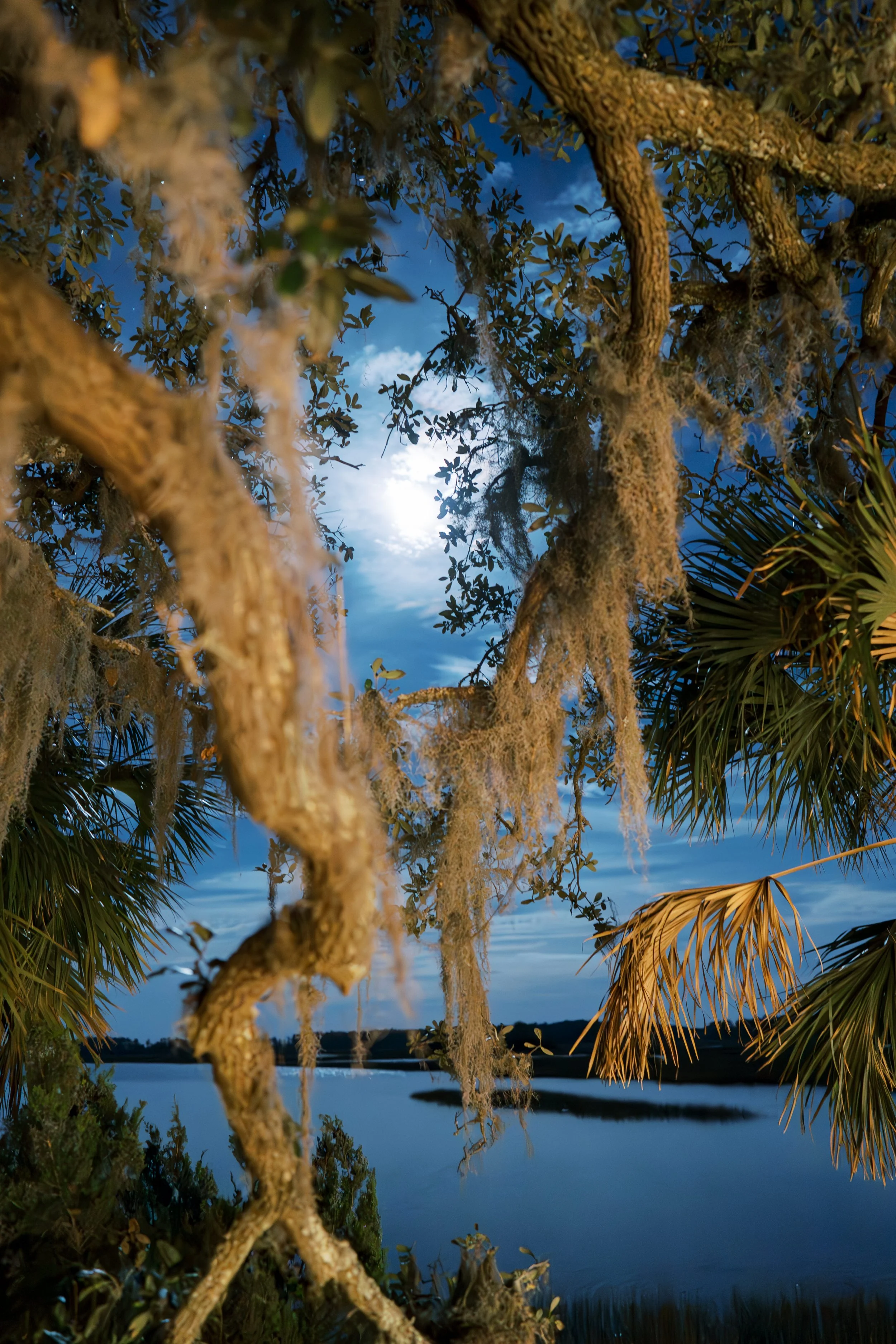 elizabethlanier-palmettobluff-cs-preview-24.jpg