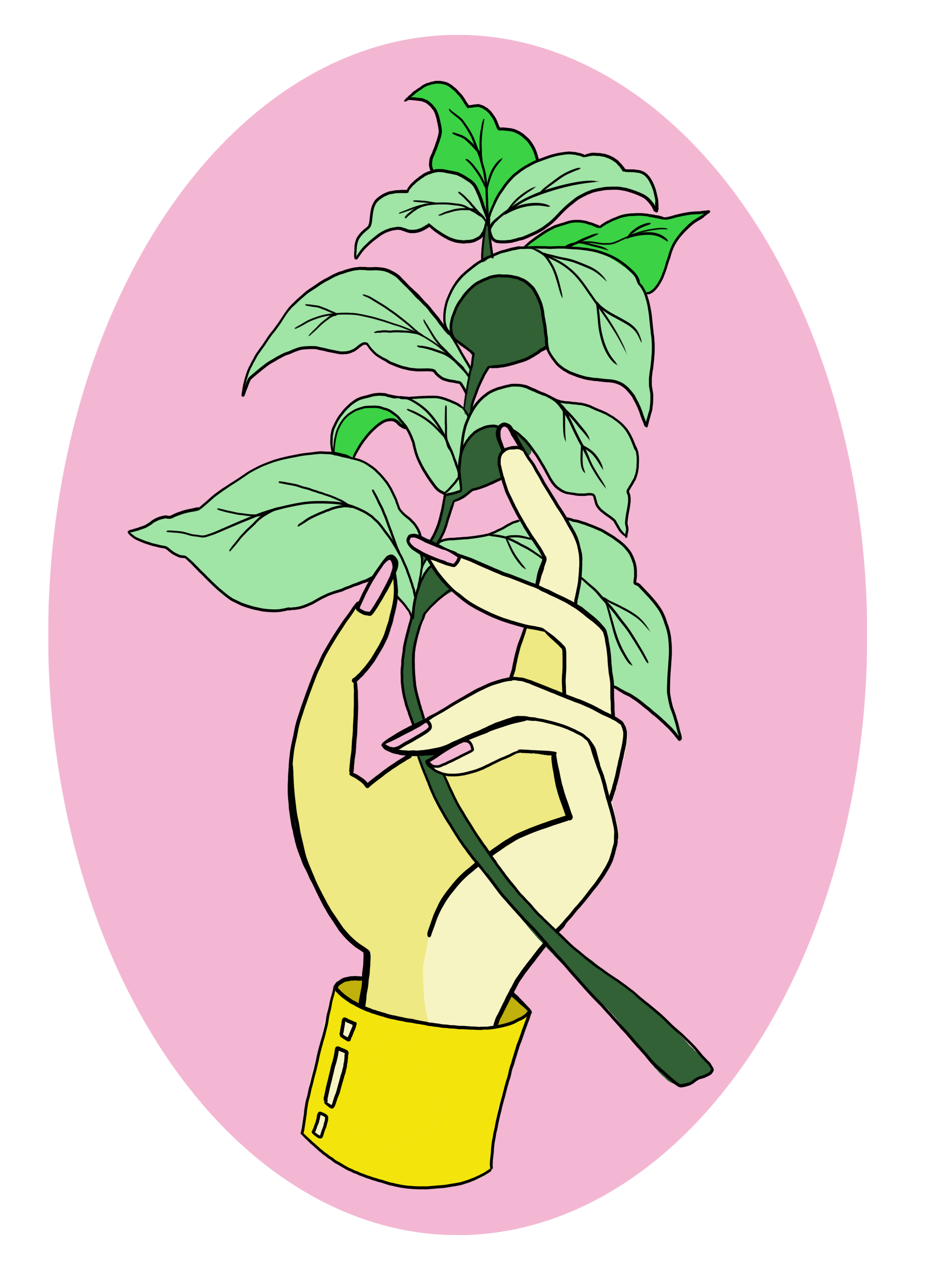 RISO_basil_Pin.png