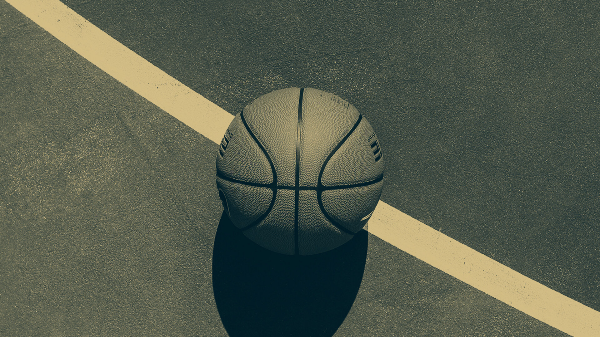 The Professional Collegiate League