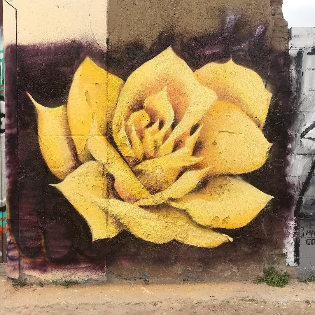 There is so much art in Barcelona, I needed to leave something here. Thank you for letting me paint in this beautiful city. 
Shout out to @montanashopbarcelona and @wallspot_org for connecting me with this wall. And Special thanks to @la.vita.carlita