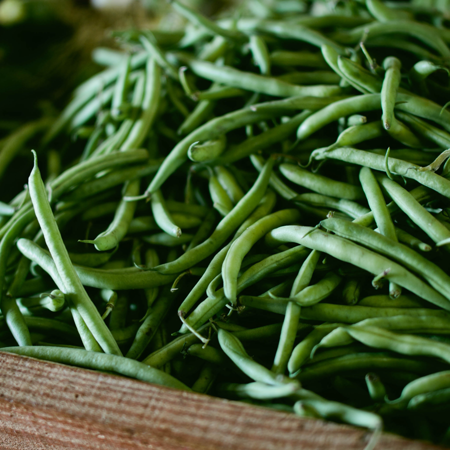 greenbeans.png