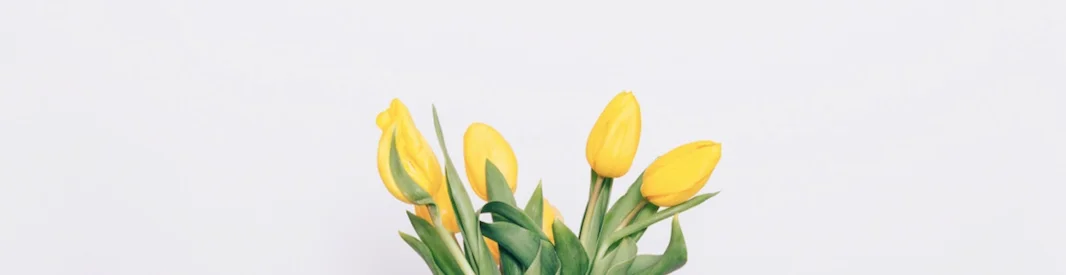 YogaStudioFox_Tulpen_Gutschein.jpg