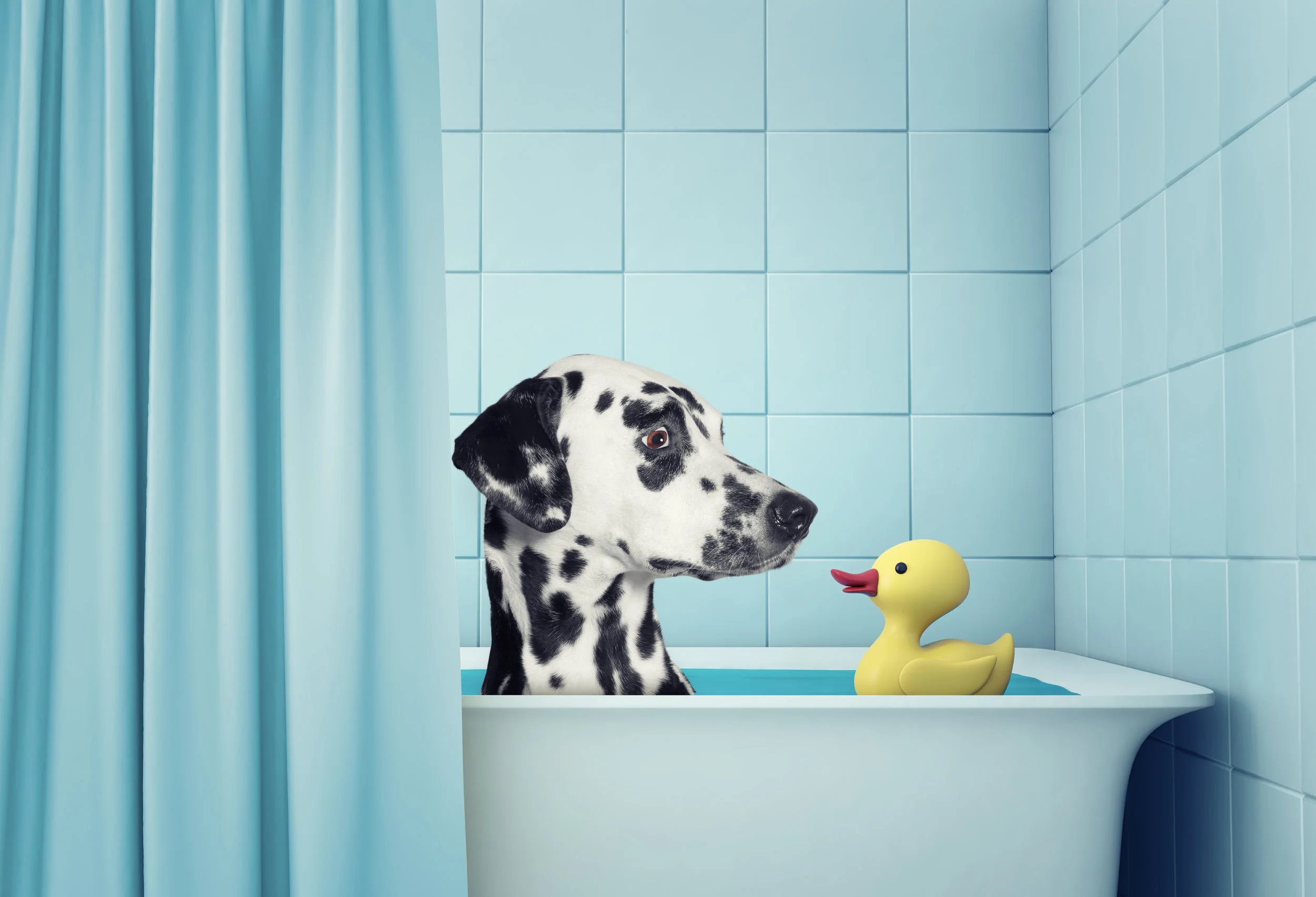 How To Avoid Shampoo Allergies And Pamper Your Dog Without Chemicals