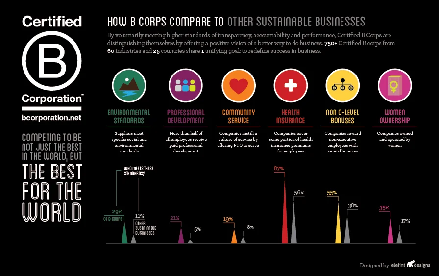 f6f1a-bcorp_infographic_web_large.jpg