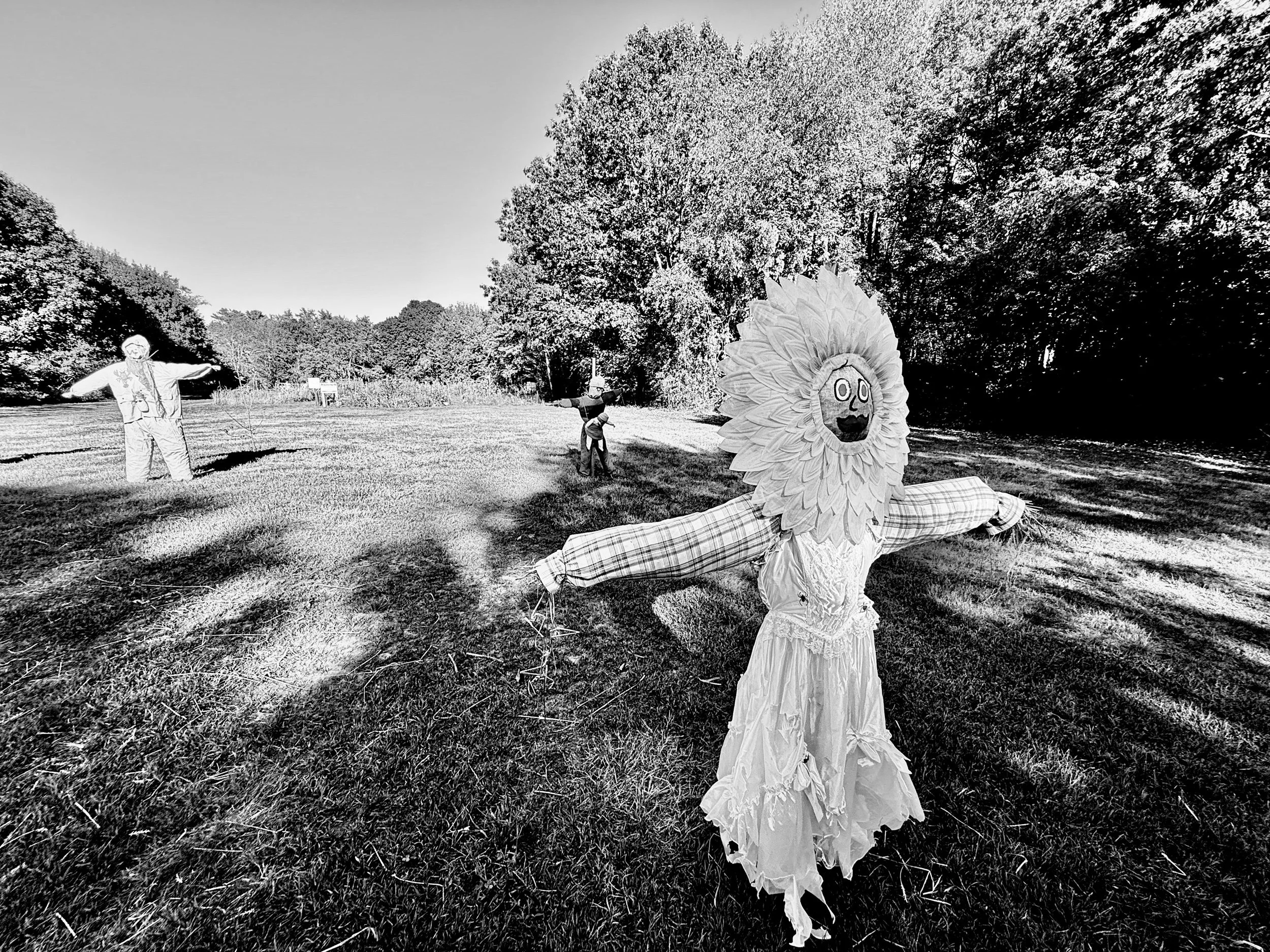 Scarecrow, South Portland, ME, 2025