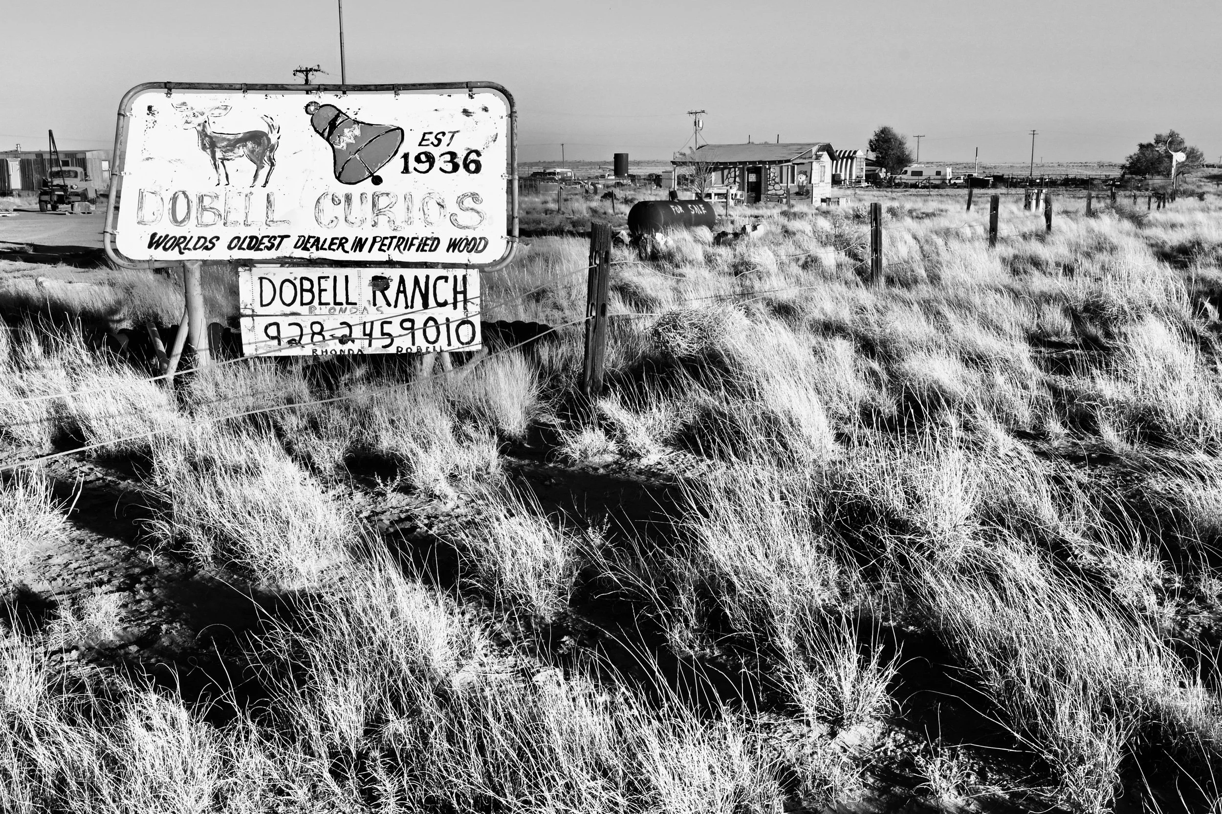 Dobell Ranch, AZ, 2025