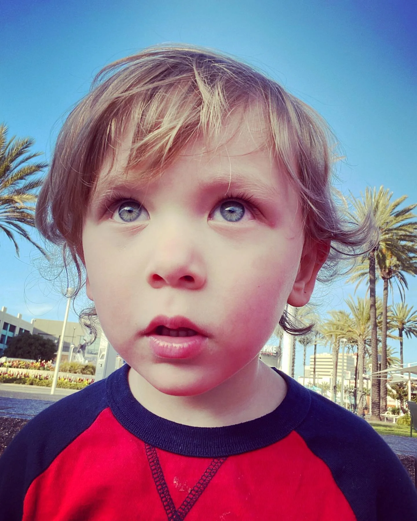 Charlie Bear 3.jpg