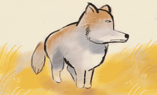 tumblr_ozftlboJr11r85hlio1_540.gif