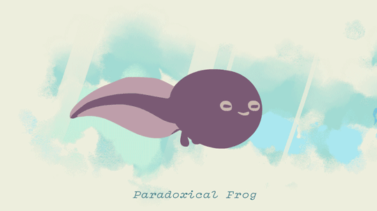 tumblr_ootzcbsMgp1r85hlio2_540.gif
