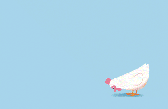 tumblr_pae757GtmR1r85hlio1_540.gif