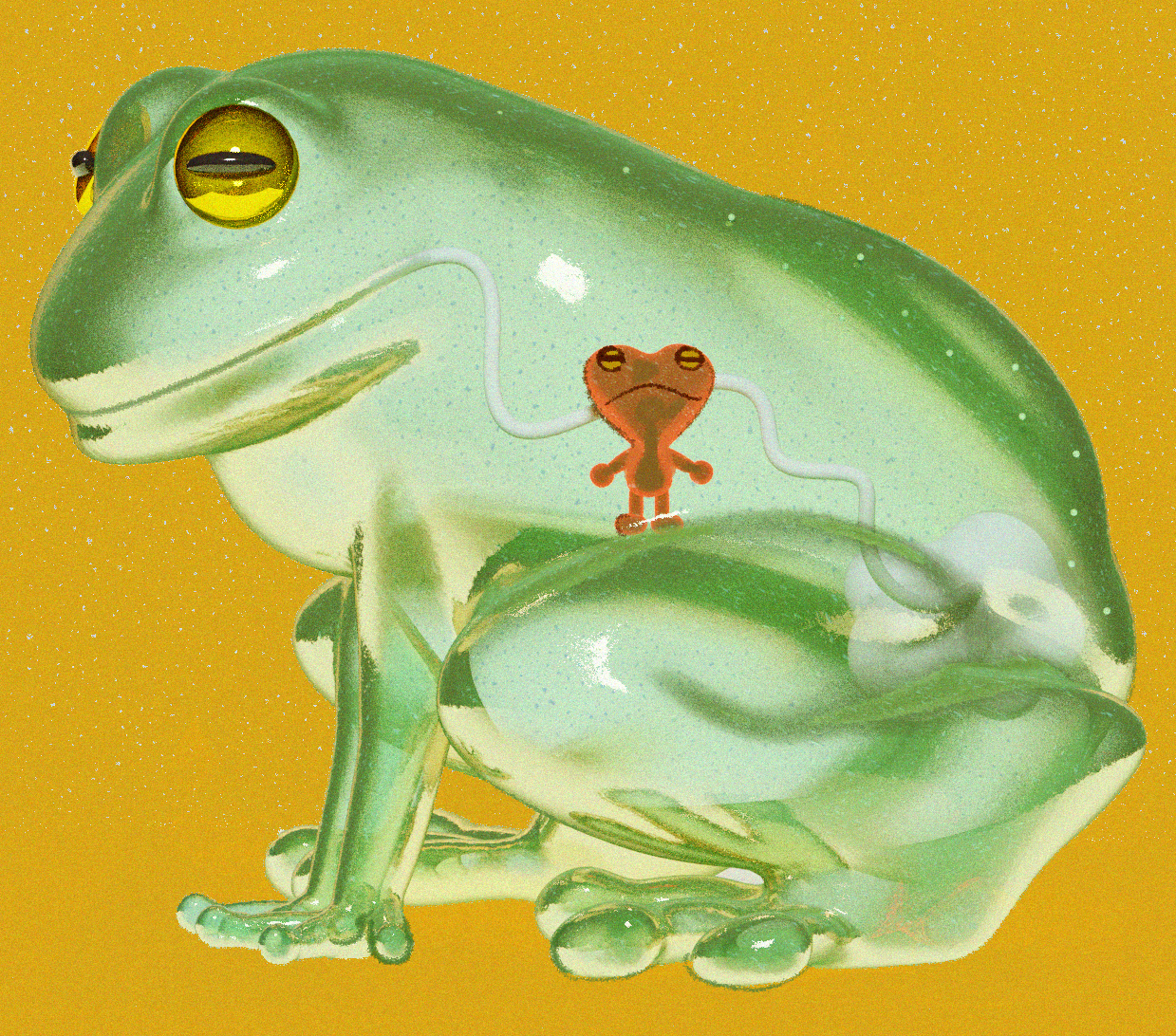 glassfrog.png