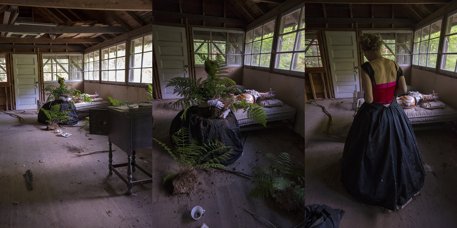 Ferns (Inside) -Triptych_WEB.jpg