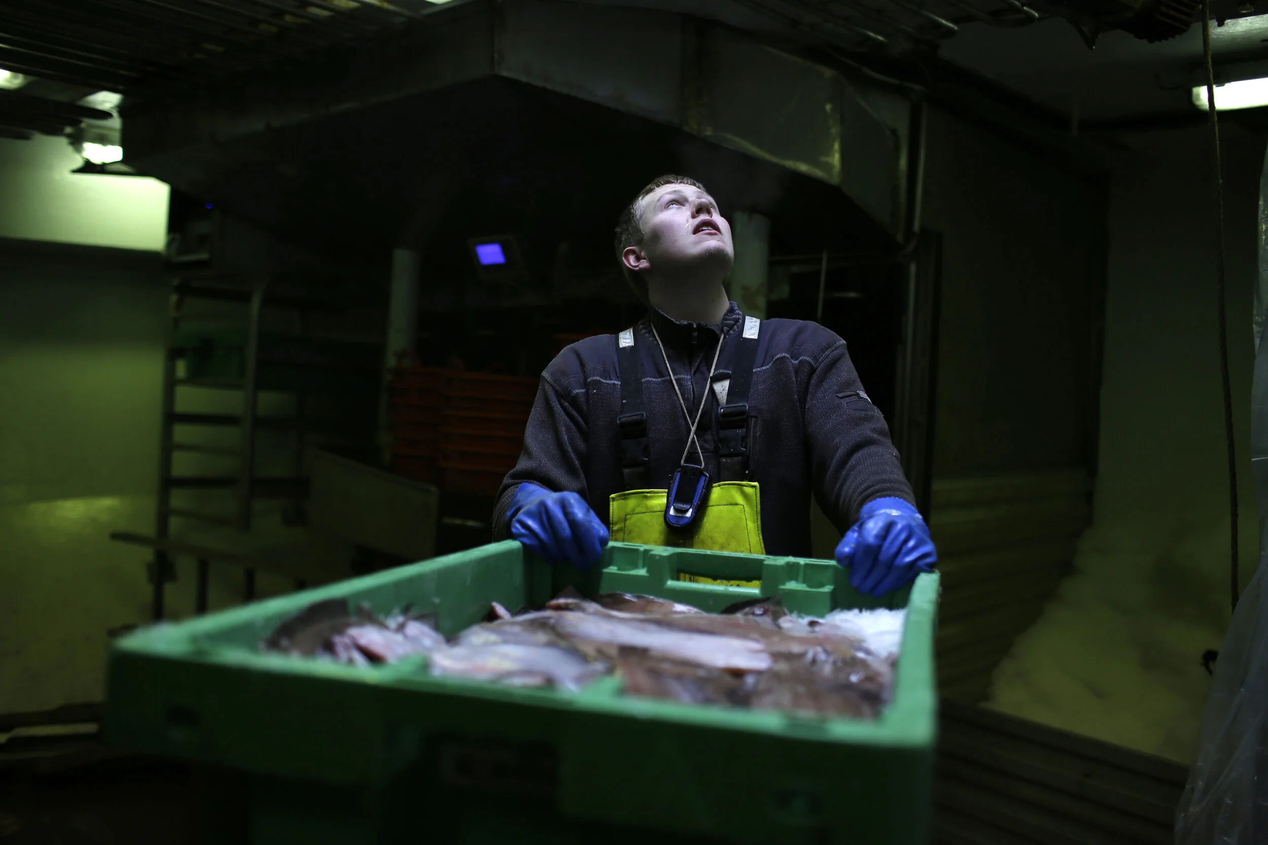  Mikkel Jakobsen, 22, who works onboard the Pia Glanz fishing vessel along with nine other crew, prepares to unload caught fish after an expedition while docked in the village of Thyboron in Jutland, Denmark. "For me personally I could lose my job, i