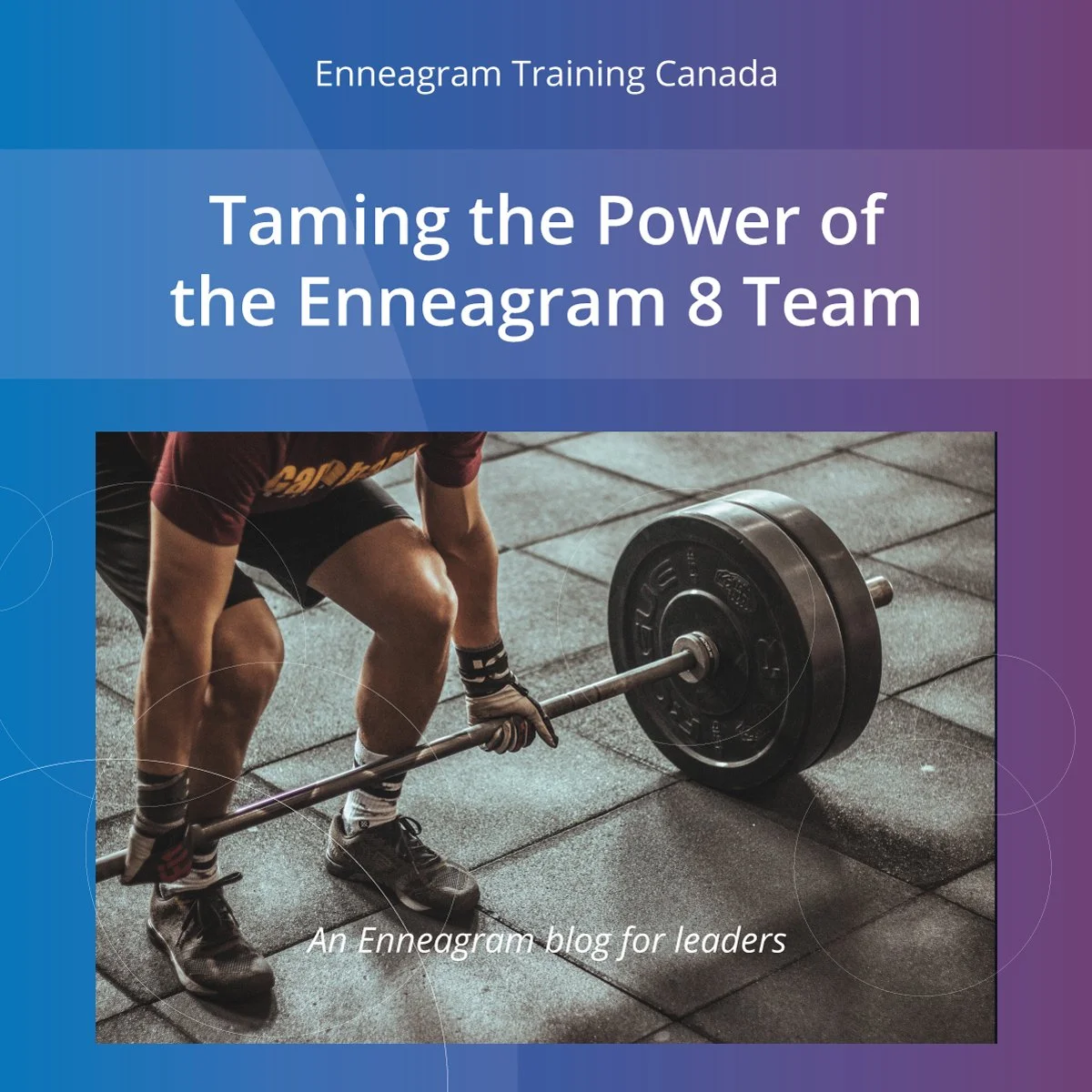 Taming the Power of the Enneagram 8 Team