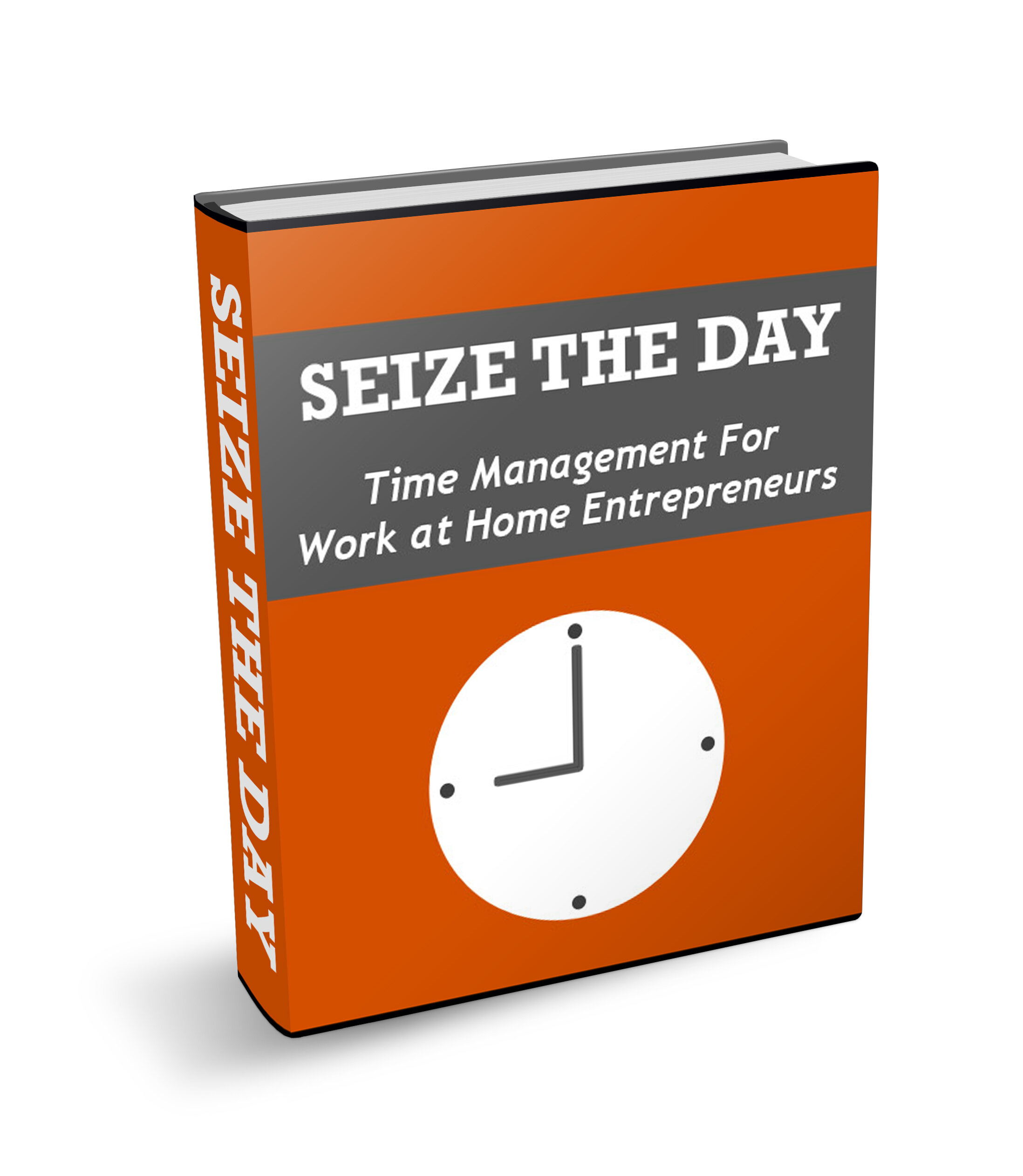 Seize_the_day_eCover.jpg