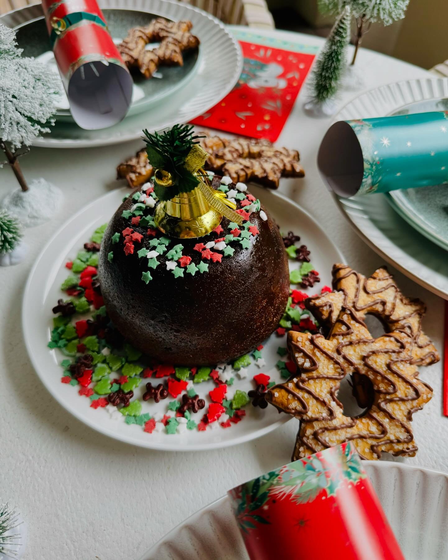 Go that little bit extra with @aldiaustralia !! #ad 
It&rsquo;s the little extra details that count - and this year I&rsquo;ve decorated my whole Christmas table + delicious pudding for just $55!!!!! 

🍽️ Dinner plates $16.99 
🎄Pine trees $14.99
🎄