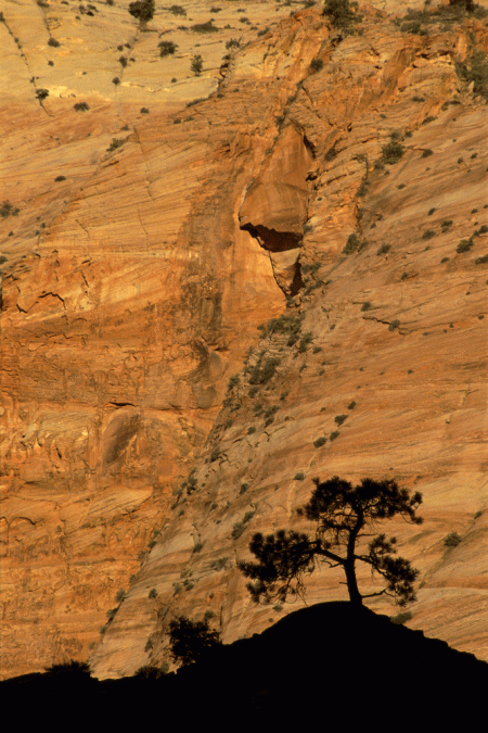 Zion Silhoutte