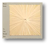 photowintersun.gif