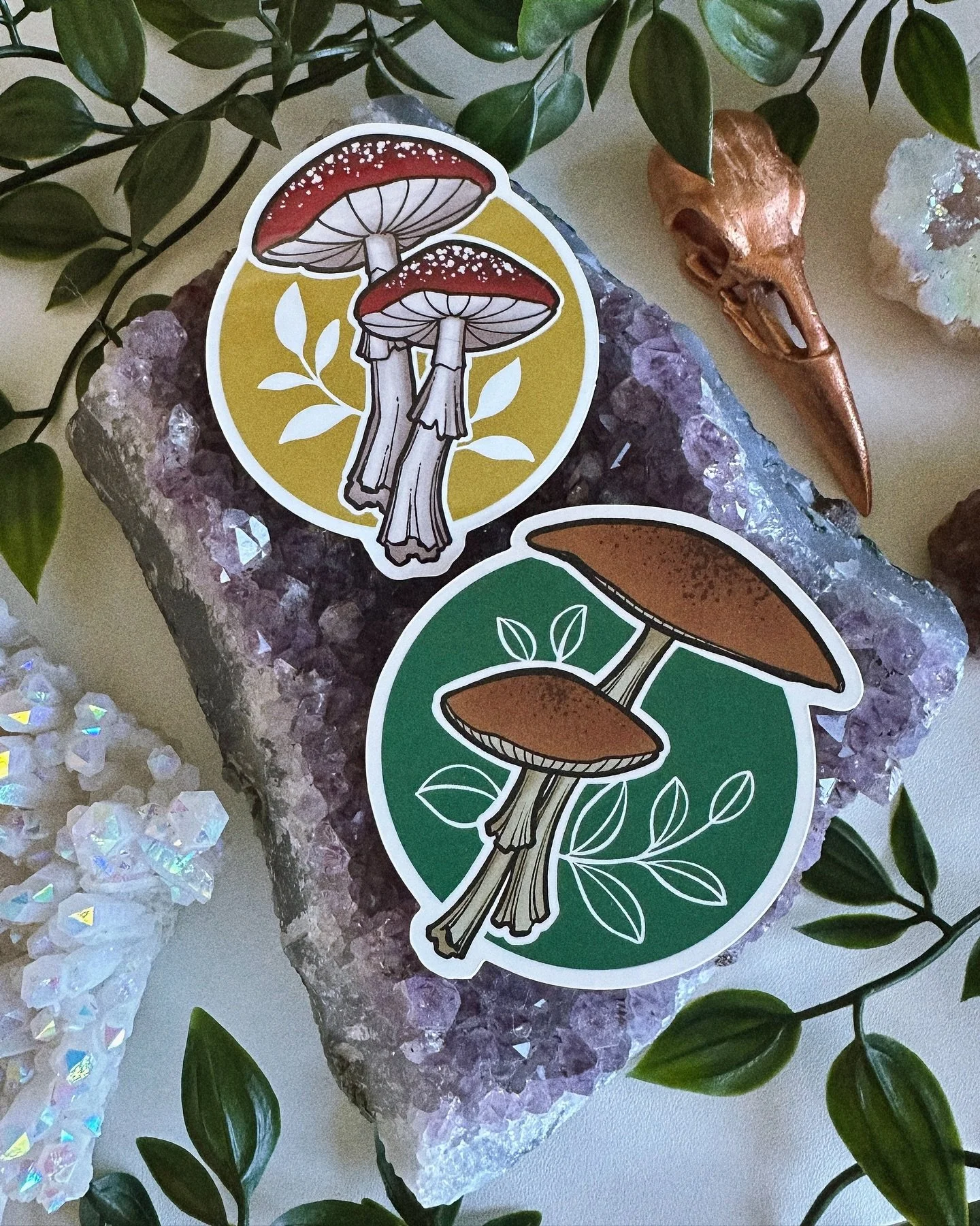 🍄 MUSHROOM STICKER PACK 🍄

hi everyone! I made my first pair of stickers!

✨ I&rsquo;m selling them for $5 for the pair ✨

+ $2 to have them mailed via Canada Post
Canada Post is still delivering letters although there may be delays due to rotating