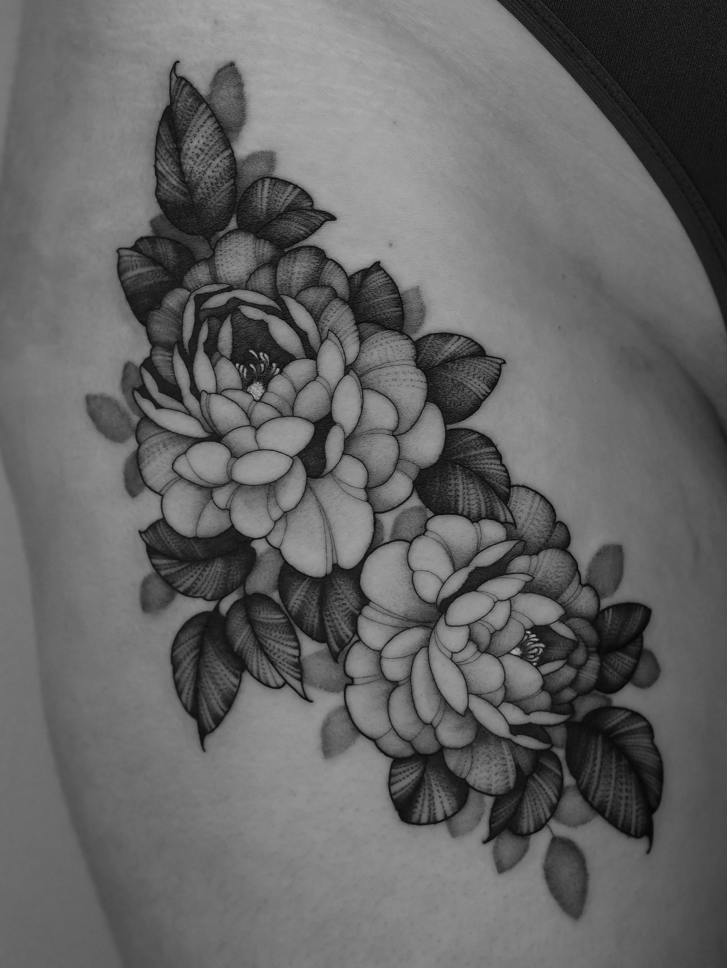 AfterlightImage (27).JPG