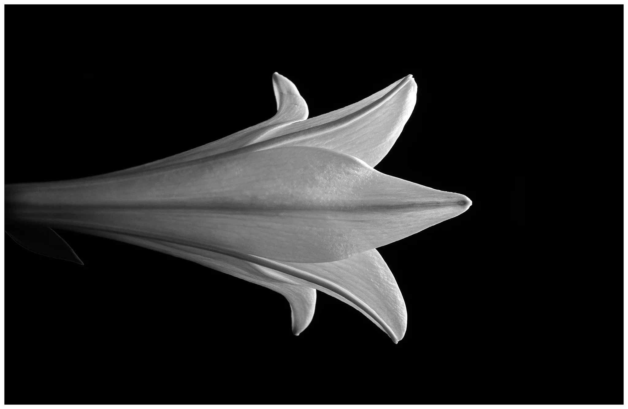 _DSC8933_bw_final.jpg