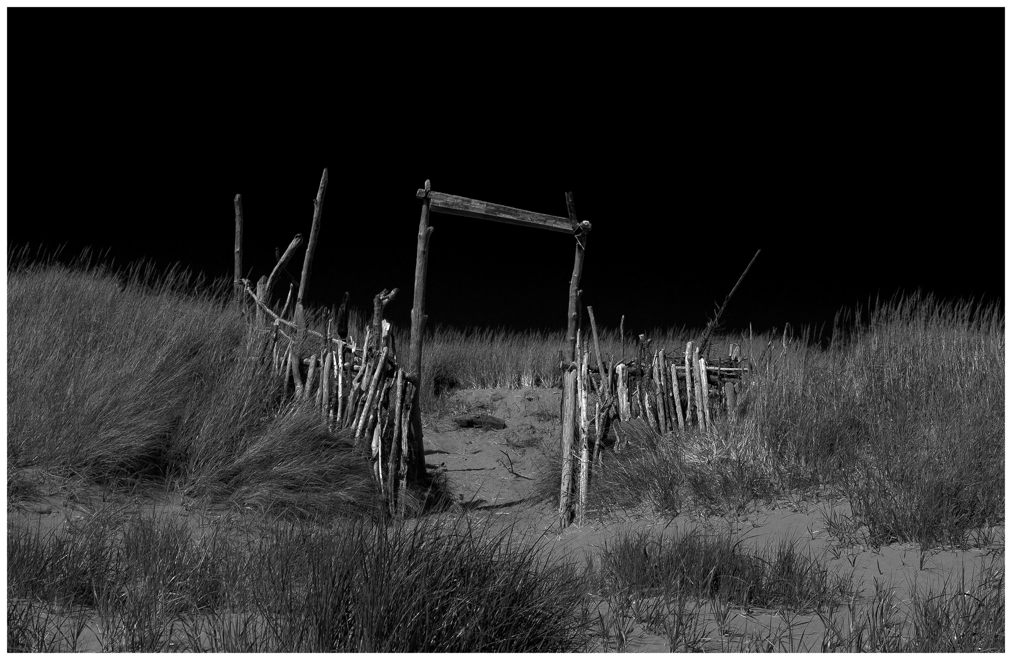 _DSC9413_bw_final.jpg