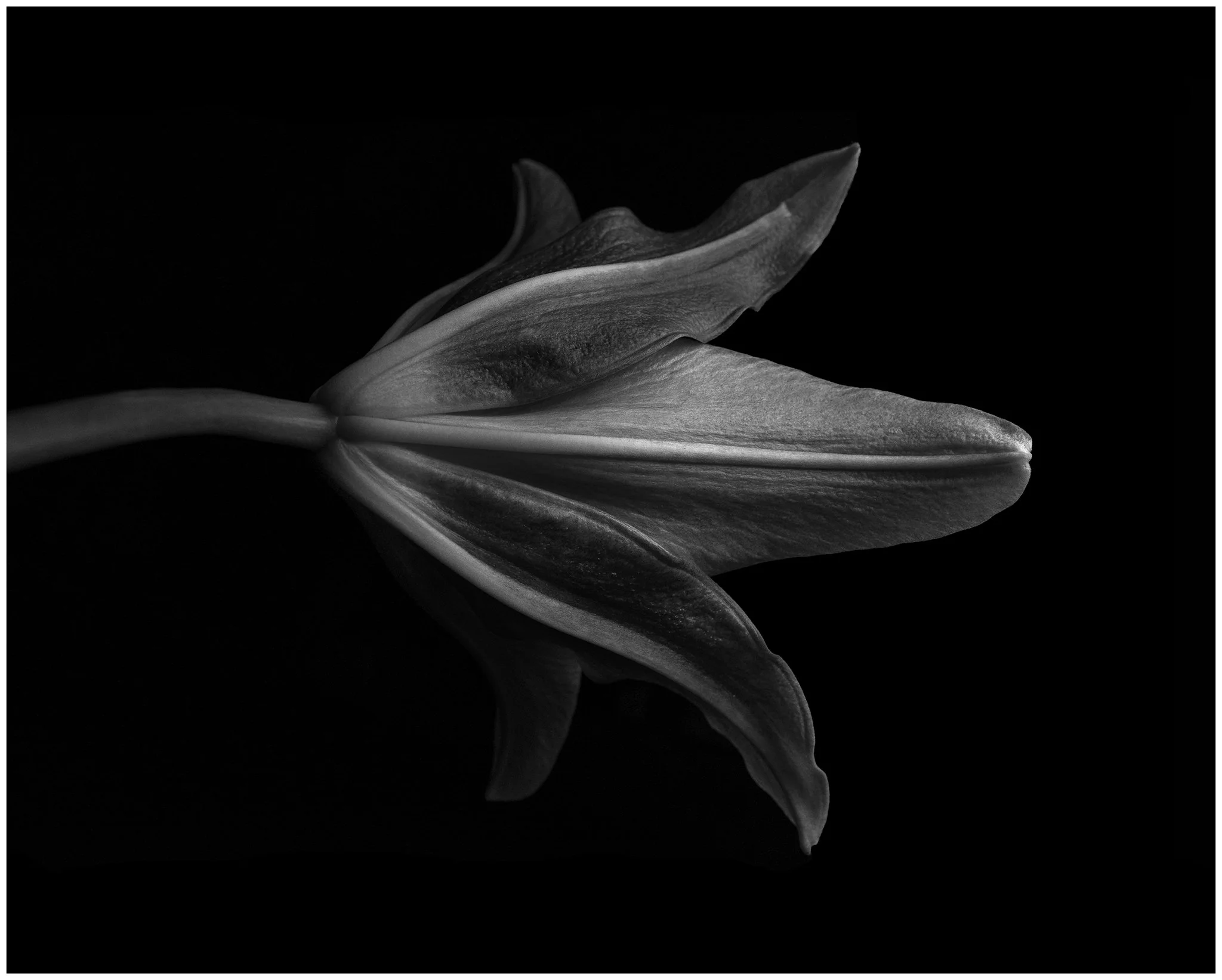 _DSC6302_bw_final_2048.jpg