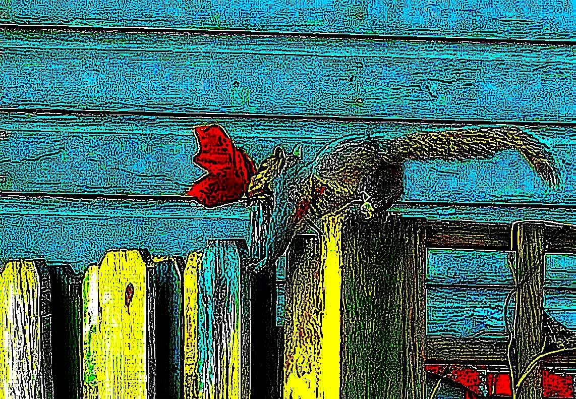 A distorted image of a gray squirrel running on the top of a wooden fence. The squirrel has a large sycamore leaf in its mouth.