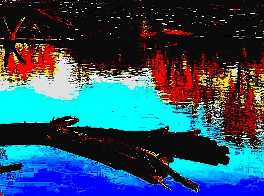 A distorted image of driftwood over the surface of the Iowa River. Reflections of fall trees ripple in the water's service.