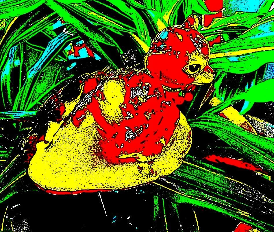 A distorted image of a ceramic fawn perched on a shelf fungus.