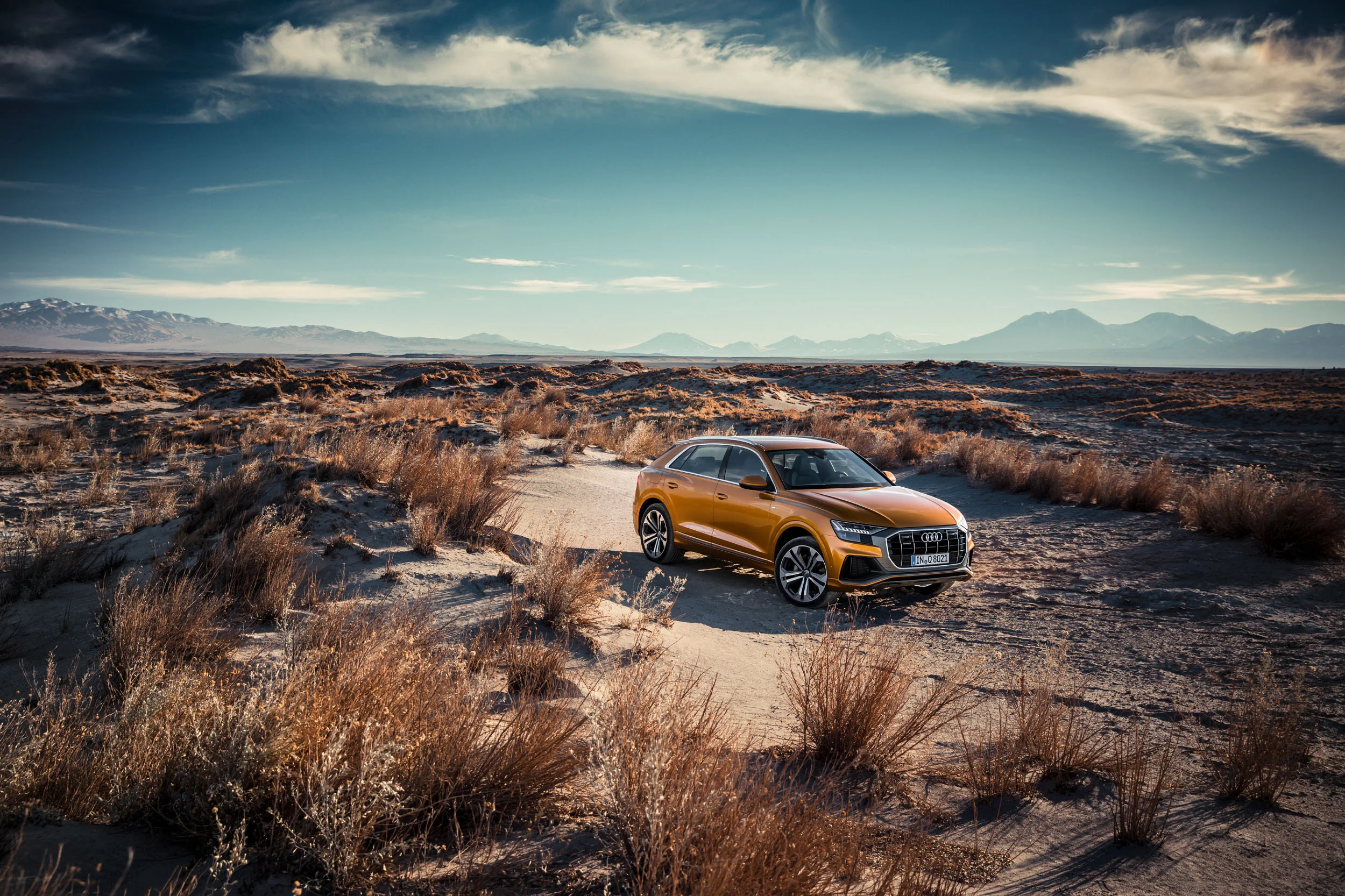 AudiQ8_1_63.jpg